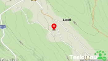 Leoști - Leoști