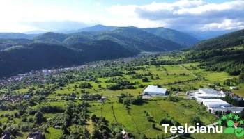 Lerești - Lerești