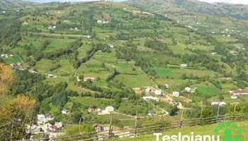 Leșu - Leșu