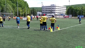 Liceul Tehnologic Construcții de Mașini - Mioveni 115400