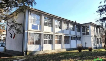 Liceul Teoretic Costești - Costești