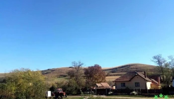 Loamneș - Loamneș