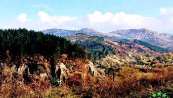 Lopătari - Lopătari