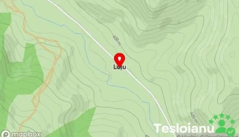 Loțu - Loțu