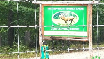 Ludești - Ludești