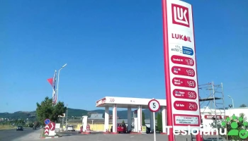 Lukoil - Moinești 605400