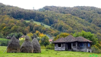 Lunca Cernii De Jos - Lunca Cernii De Jos
