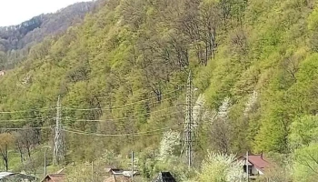 Lunca Jariștei - Lunca Jariștei