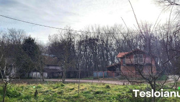 Lunca Mureșului - Lunca Mureșului