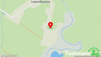 Lunca Ozunului - Lunca Ozunului