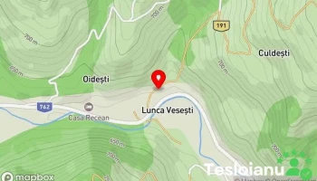 Lunca Vesești - Lunca Vesești