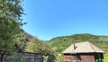Lungeşti - Lungeşti