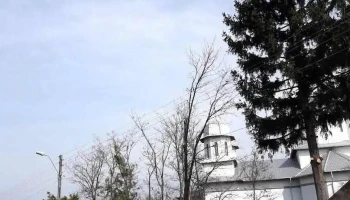 Lupșanu - Lupșanu