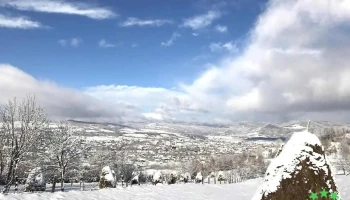 Lăpuș - Lăpuș