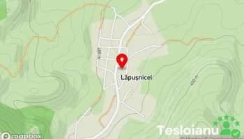 Lăpușnicel - Lăpușnicel