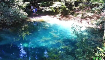 Lăpușnicu Mare - Lăpușnicu Mare