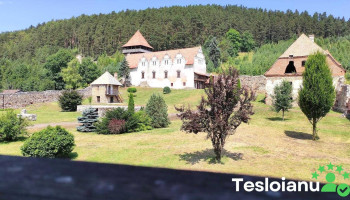 Lăzarea - Lăzarea