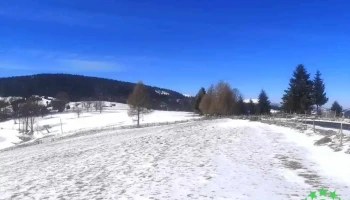 Lăzești - Lăzești