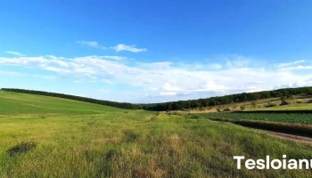 Mândreşti - Mândreşti