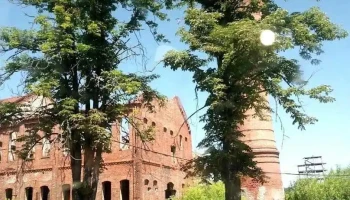 Margina - Margina
