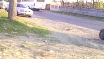 Mârșani - Mârșani