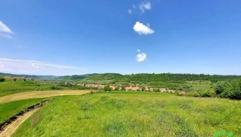 Mihaileni - Mihaileni