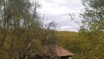 Milcoiu - Milcoiu