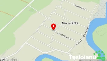 Mirceștii Noi - Mirceștii Noi