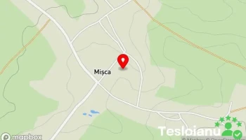 Mişca - Mişca