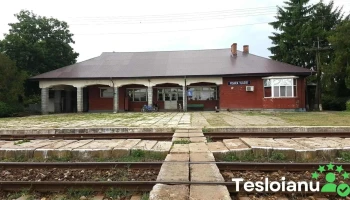 Moara Vlăsiei - Moara Vlăsiei