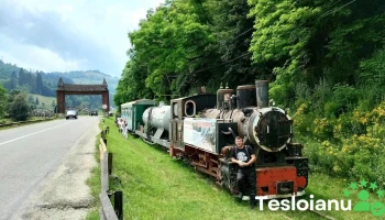 Mocănița Câmpeni - Strada Boncești