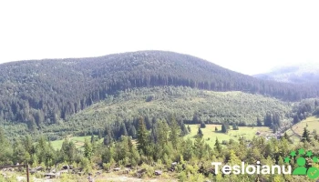 Mofetă Borsec - Borsec
