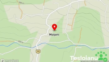 Moişeni - Moişeni
