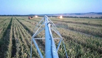 Moldova Tiganasi Sa - Țigănași 707555