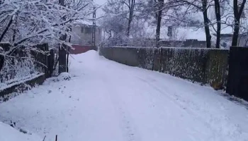 Moldoveni - Moldoveni
