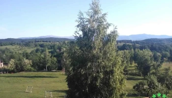 Monumentul eroilor Mlăci - Bughea De Jos