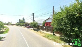 Motorman Auto Teile - Comuna Ariceștii Rahtivani 107025