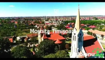 Moșnița Nouă - Moșnița Nouă