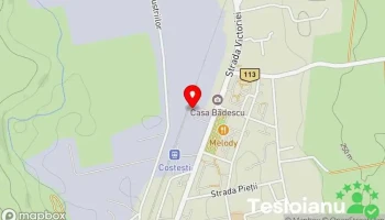 Muntenia - Costeşti S.r.l. - Costești