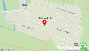 Măceșu de Jos - Măceșu De Jos