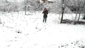 Măceșu de Sus - Măceșu De Sus