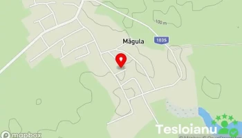Măgula - Măgula