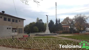 Măicănesti - Măicănesti