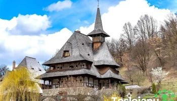 Mănăstirea Bârsana - Bârsana