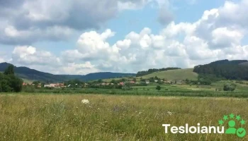 Mărtiniș - Mărtiniș