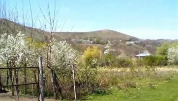 Măstăcani - Măstăcani