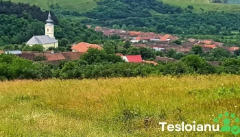Naidăș - Naidăș