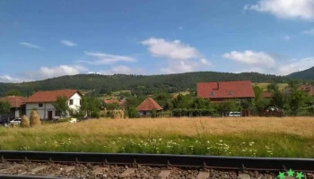 Negreni - Negreni