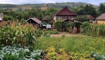 Negrilești - Negrilești