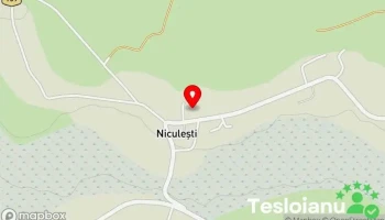Niculești - Niculești